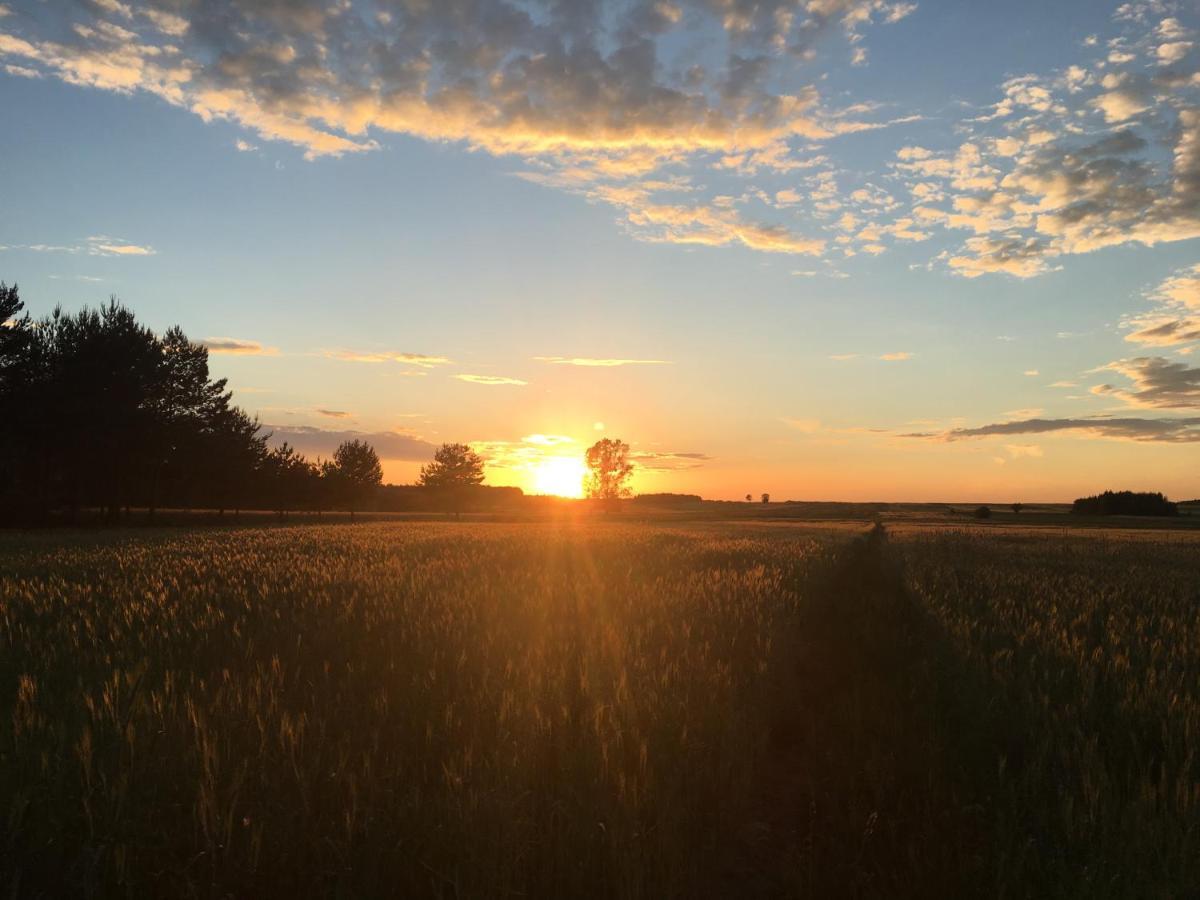 Wsród Pól i Lasów Dubicze Cerkiewne Exterior foto